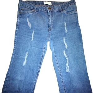 Dream Out Loud by Selena Gomez frayed skinny jeans